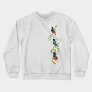 Superb Starling - Bird in Kenya / Afrika Crewneck Sweatshirt